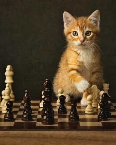 Masters Pet Series: Cat Playing Chess